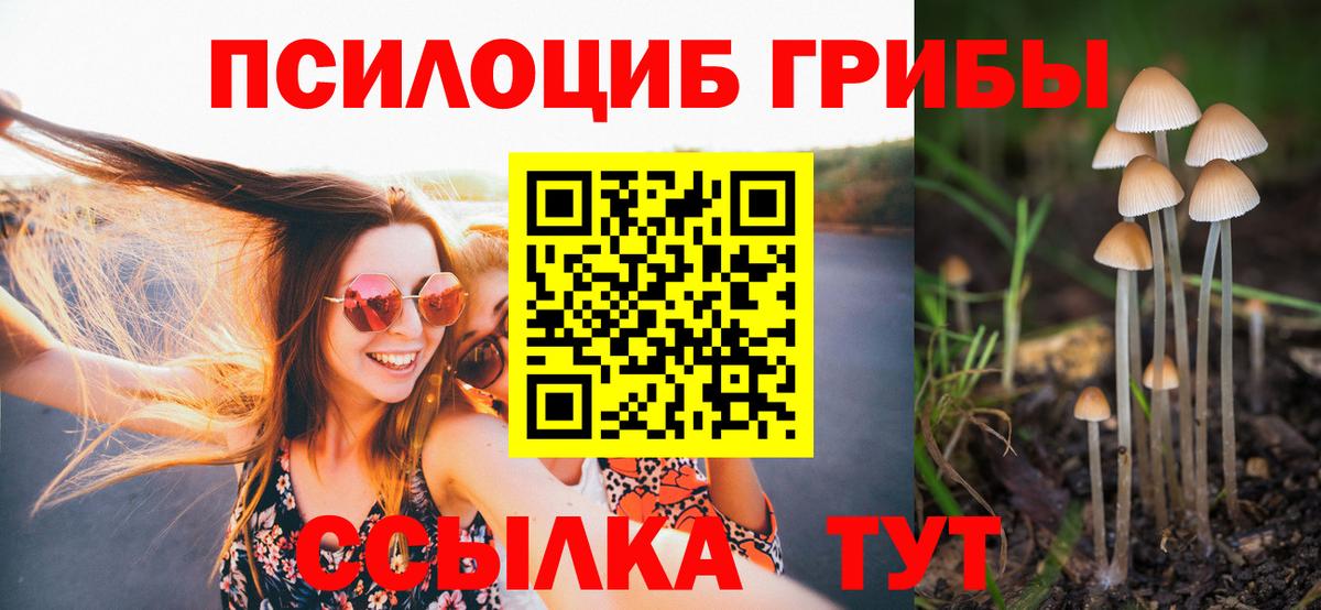 Псилоцибиновые грибы мухоморы Лесозаводск
